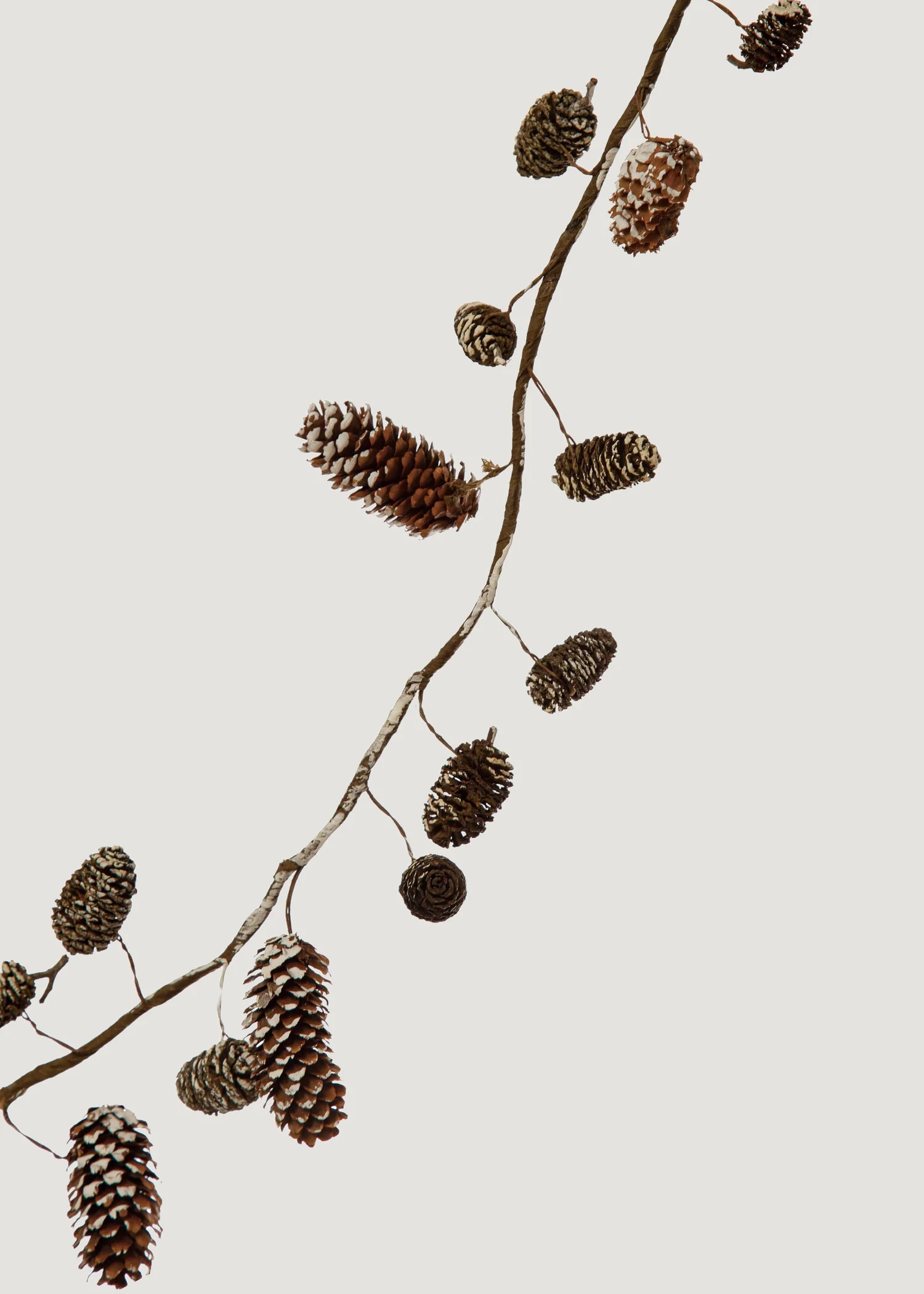 Snowy Pine Cone Holiday Garland - 70" | Afloral