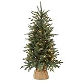 National Tree Company Pre-lit Artificial Mini Christmas Tree | Includes Small Lights and Cloth Bag Base | for Tabletop or Desk | Burlap-4 ft, 4', Green | Amazon (US)