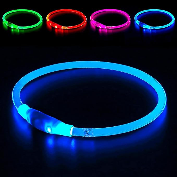 Light up Dog Collar, BSEEN USB Rechargeable Flash Dog Necklace Light, Pet Safety Collar Makes You... | Amazon (US)