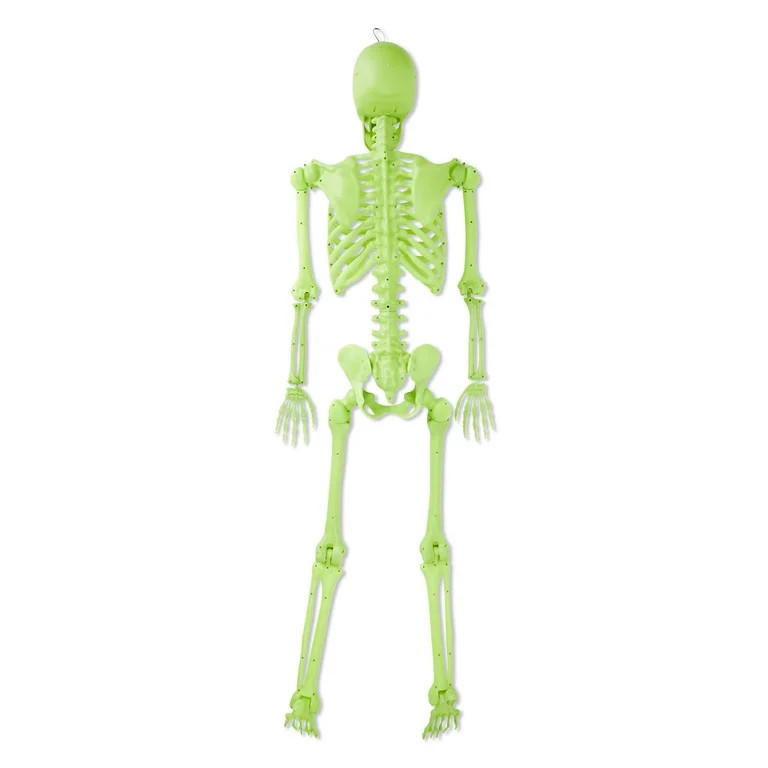 5ft Glow-in-the-Dark Poseable Skeleton Decoration, Halloween Outdoor Decor, by Way To Celebrate | Walmart (US)