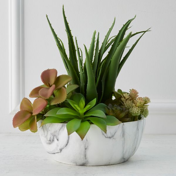 Mixed Succulent With Marble Pot | Z Gallerie