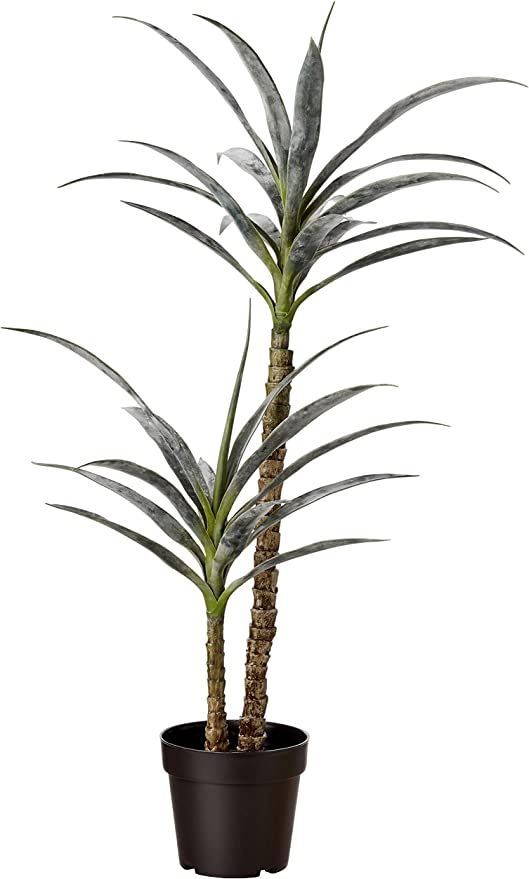 Amazon Basics Artificial Yucca Plant with Plastic Nursery Pot, 40-Inch | Amazon (US)