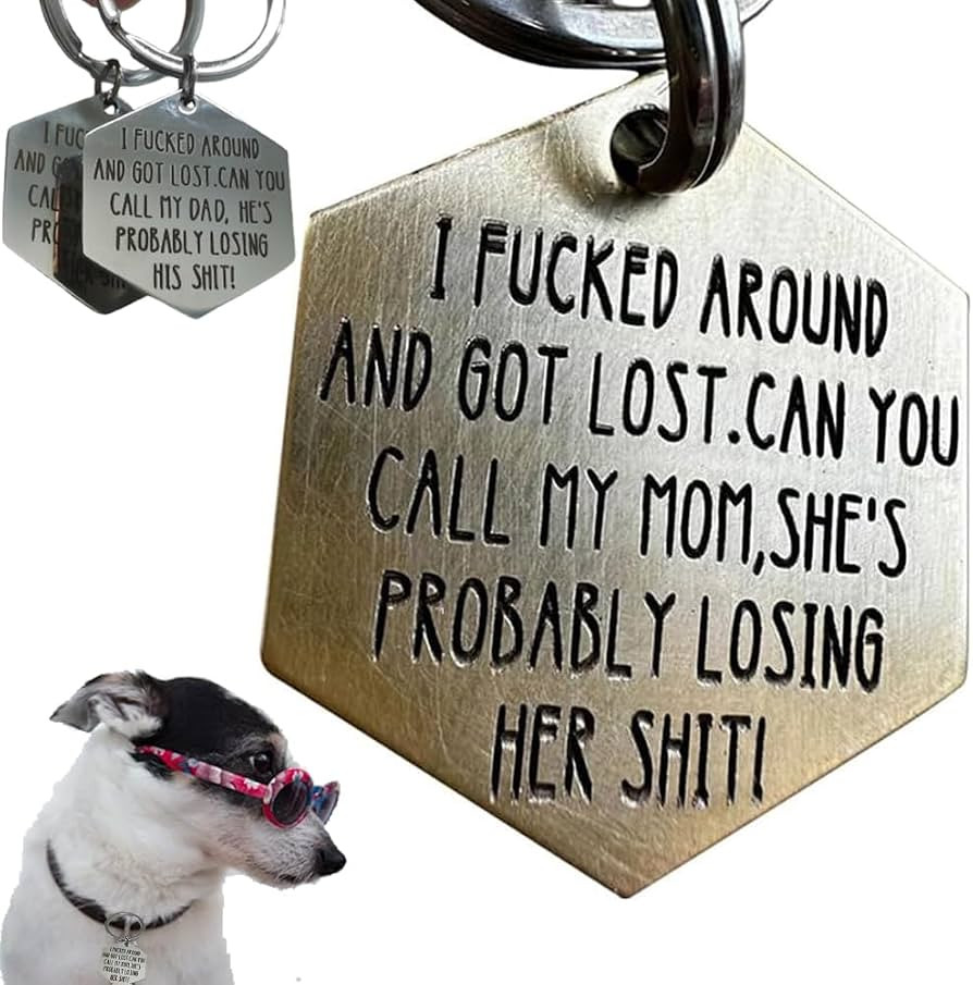 Funny Dog Tags,Stainless Steel Funny Pet Tag,Deeply Engraved Dog Collar Tag,Pet Cat Collar Charm ... | Amazon (US)