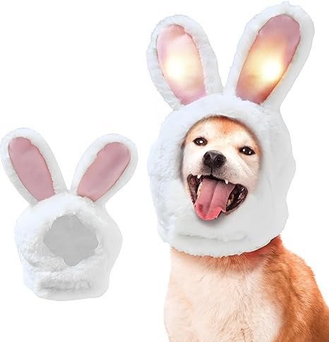 Pet Costume, Festival Party Rabbit Bunny Ear Headband Hair Cap Cute Costume for Dog & Cat Costpla... | Amazon (US)