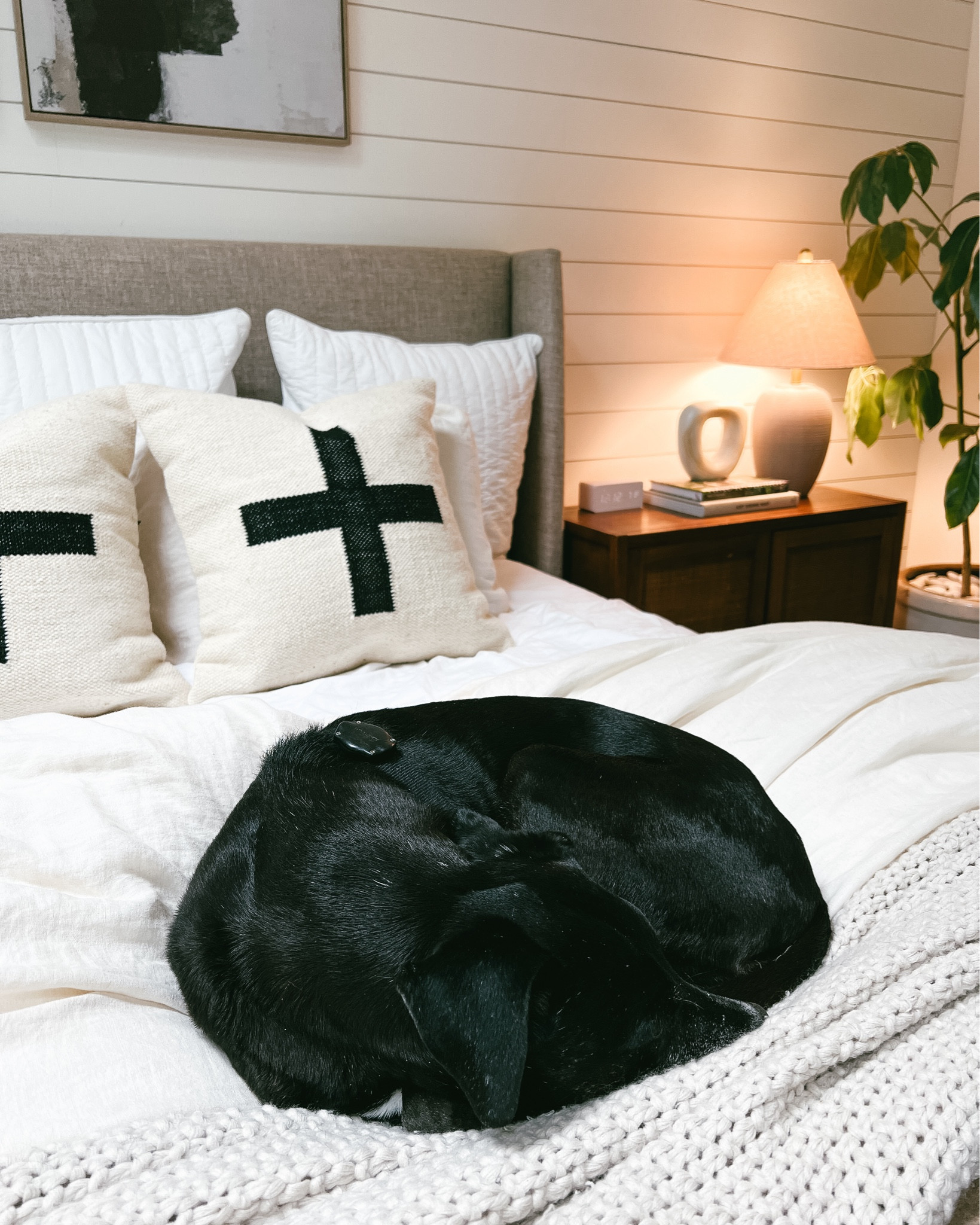New decor touches in our master bedroom. I absolutely love these Swiss cross pillows, and our new lamps were such a steal!

#LTKSeasonal #LTKHome