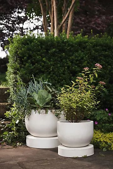 Concrete Planter | Anthropologie (US)