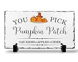 You Pick Pumpkin Patch - House Sign - Thanksgiving Decor - Fall Decor - Fall Wall Sign - Pumpkin Pat | Amazon (US)
