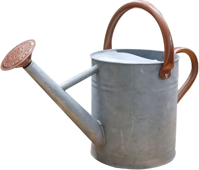 Metal Watering Can, One Gallon Watering Cans Stainless Steel for Outdoor Indoor Garden Plants Wat... | Amazon (US)
