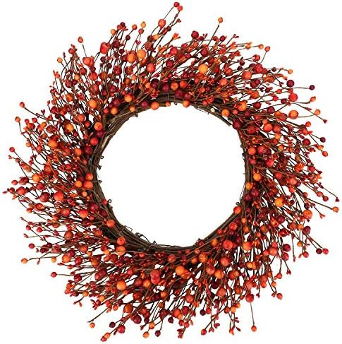 Fall Berry Wreath,24 inches Wreath with Mixed Berries for Indoor Outdoor Decor | Amazon (US)