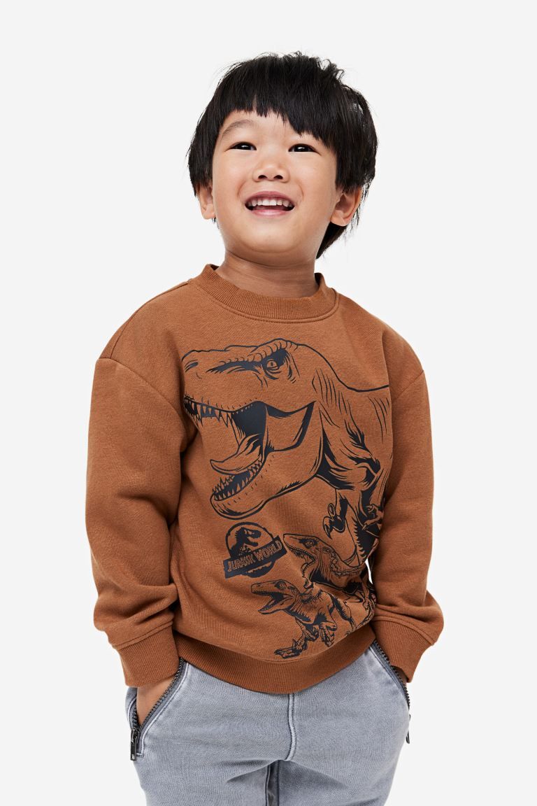 Printed Sweatshirt - Brown/Jurassic World - Kids | H&M US | H&M (US + CA)