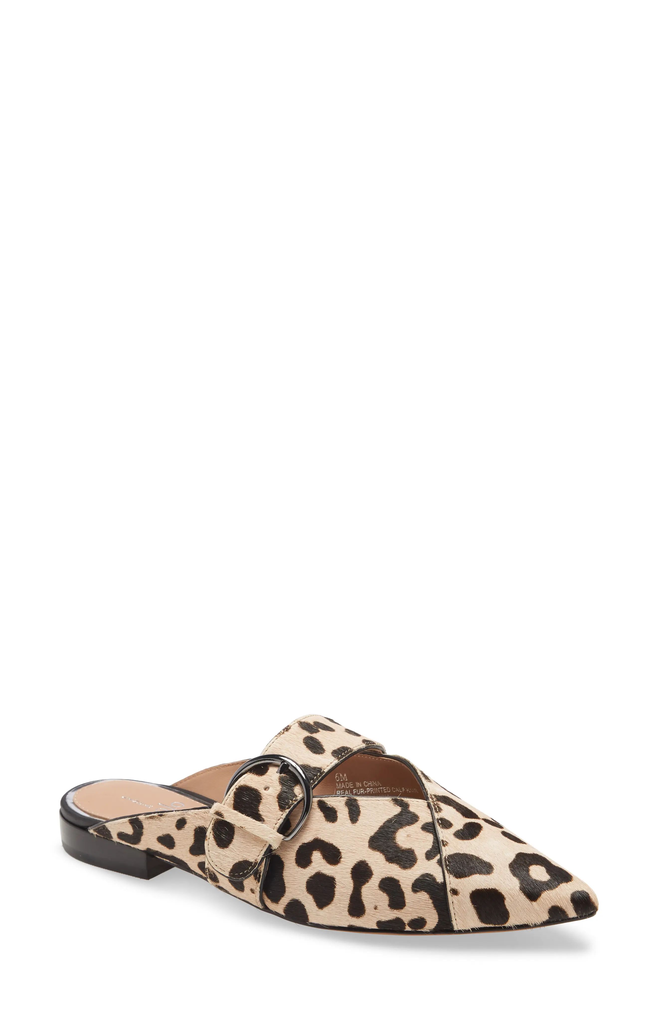 Linea Paolo Athea Genuine Calf Hair Pointed Toe Mule, Size 10 in Leopard Print Calf Hair at Nordstro | Nordstrom