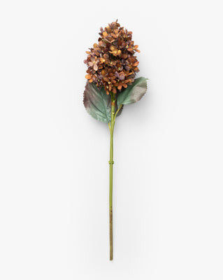 23" Burgundy Cone Hydrangea | McGee & Co. (US)