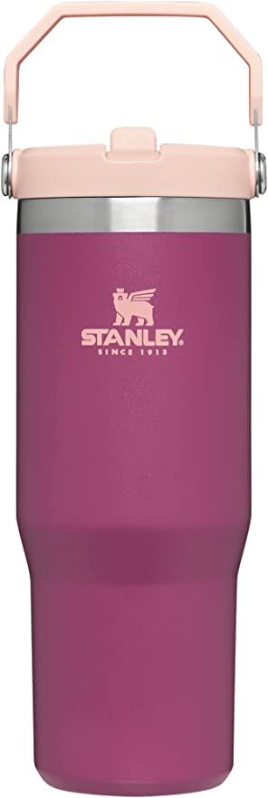 Amazon.com: Stanley IceFlow Stainless Steel Tumbler with Straw, Vacuum Insulated Water Bottle for Ho | Amazon (US)