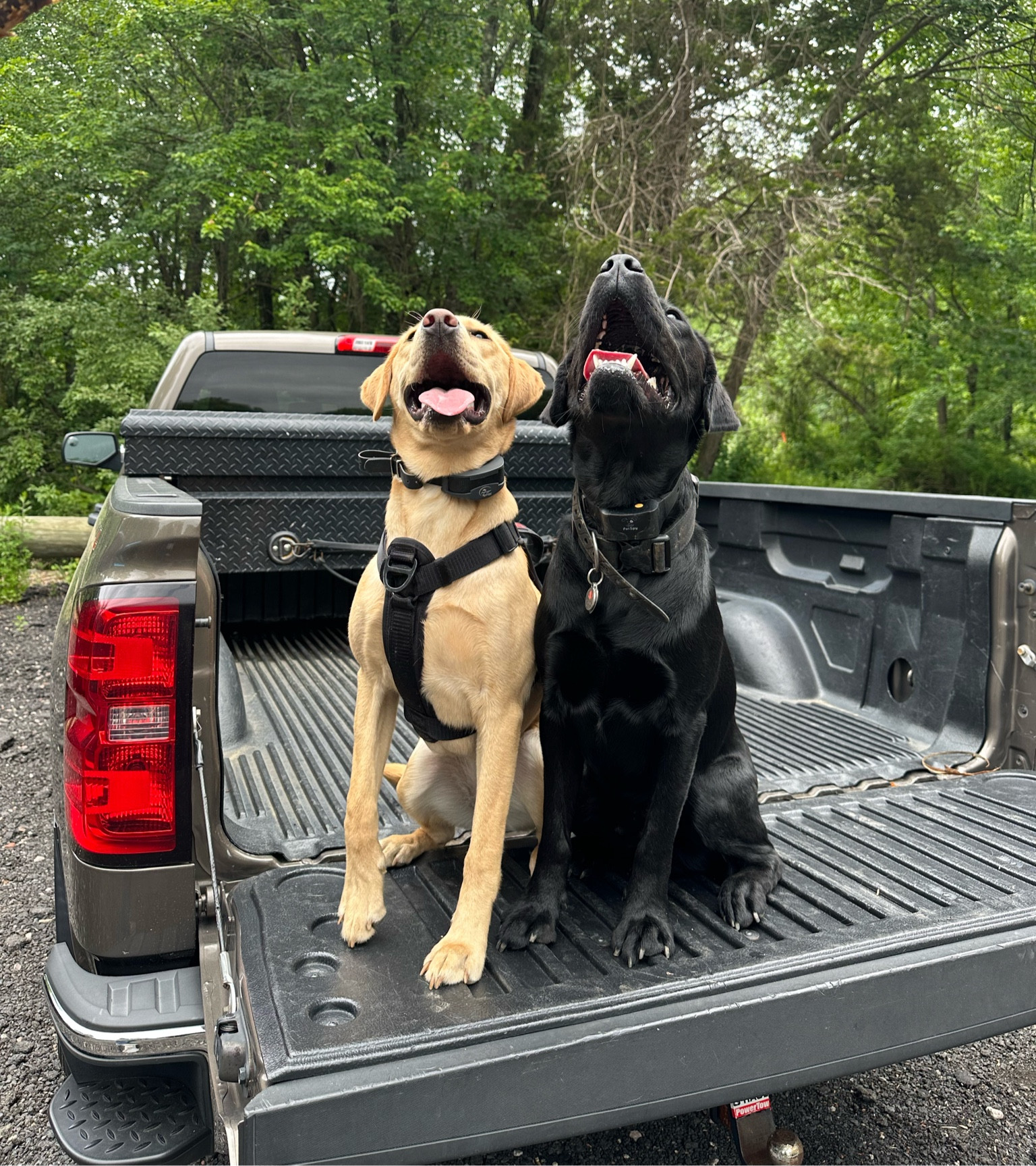 Ready for the outdoors! 