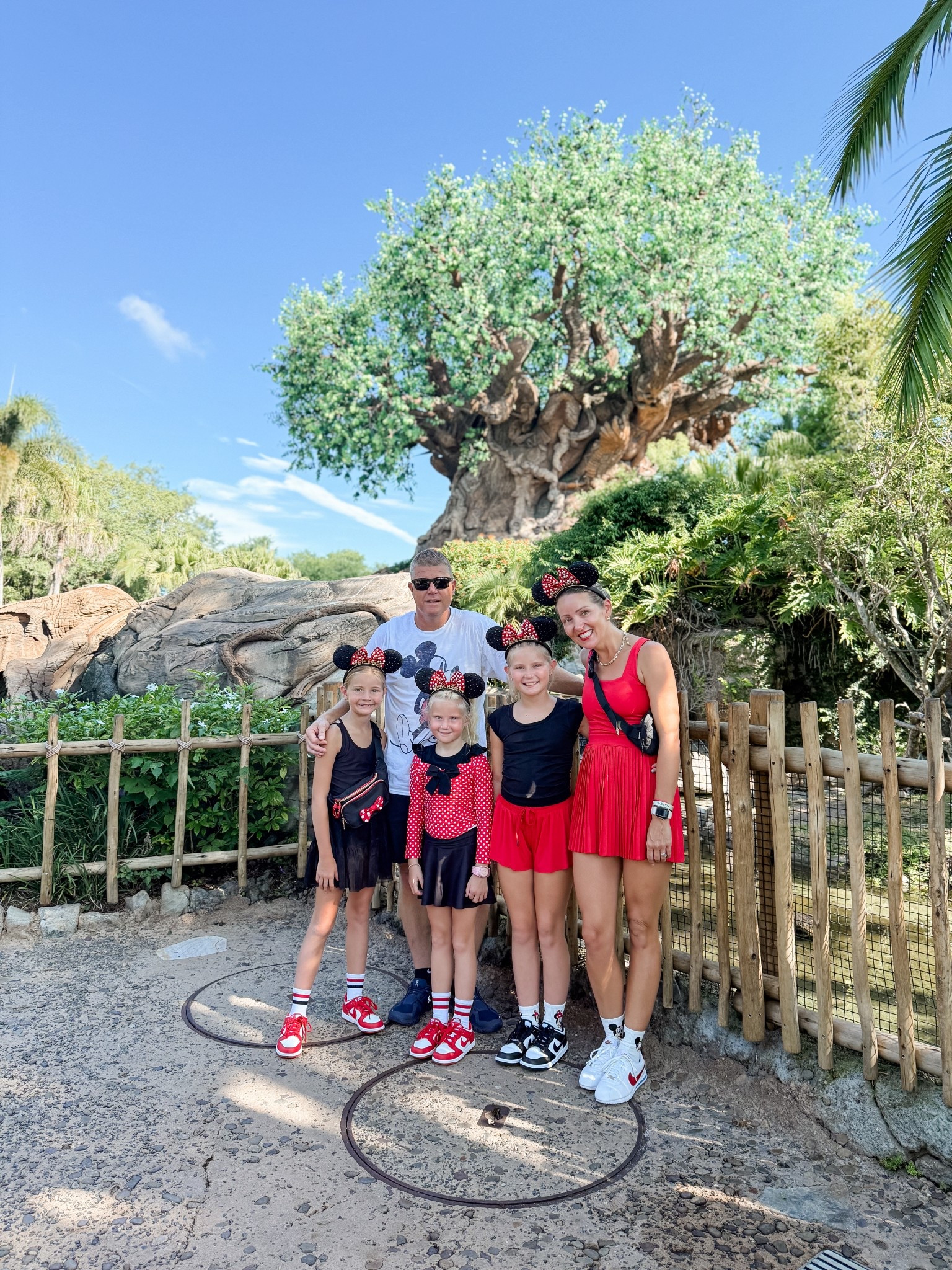 Disney outfit
Family matching
Animal kingdom 
Minnie Mouse
