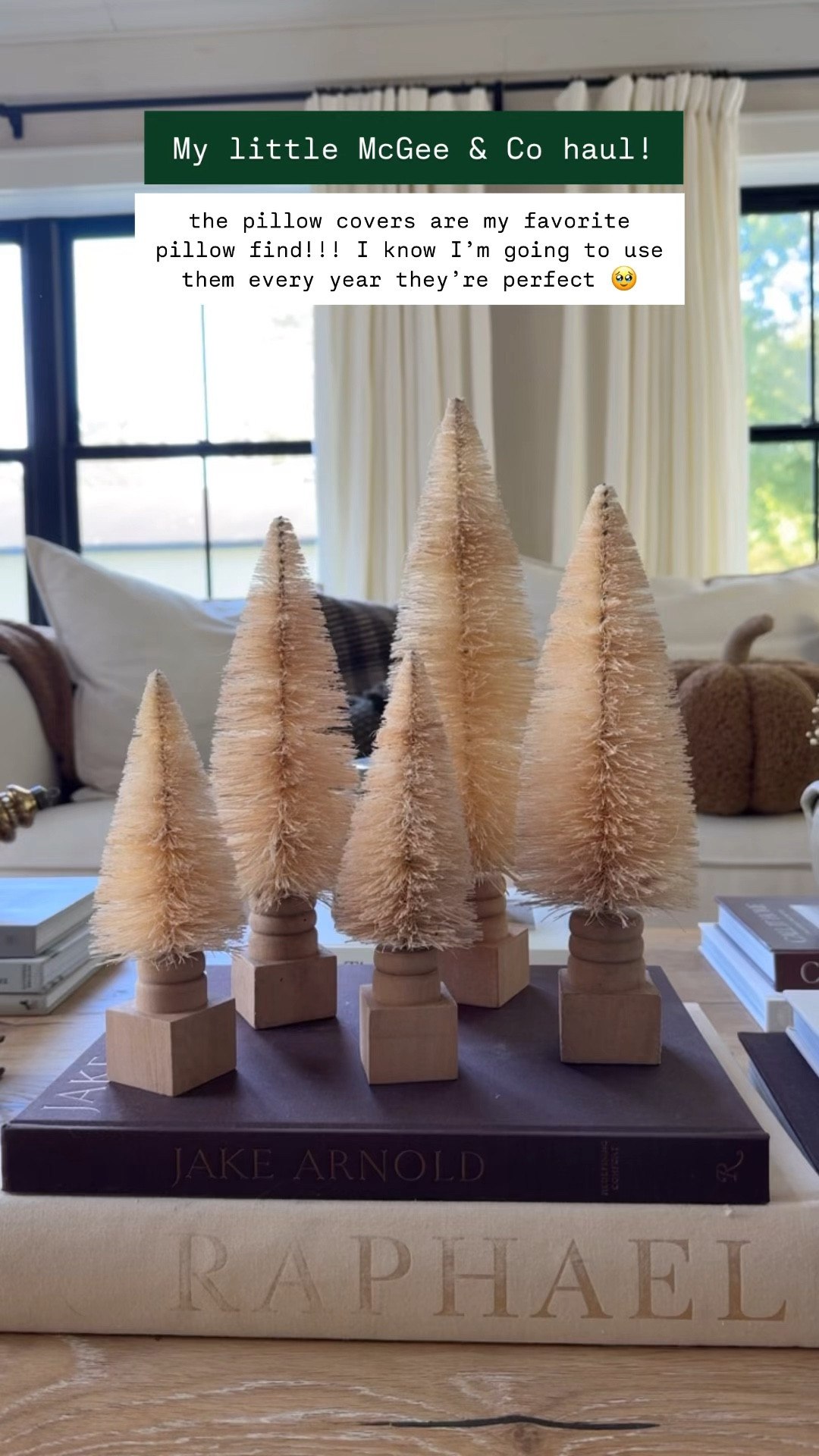 My McGee & Co haul! The pillow covers are SO GOOD 

#LTKSeasonal #LTKHoliday