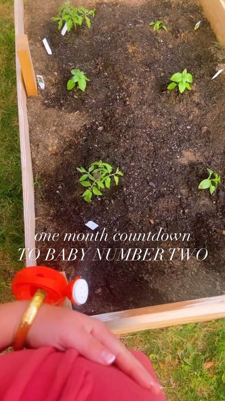 And just like that… we are at the ONE MONTH COUNTDOWN to meeting our Sweet Baby Mabry #2!!!🤰🤭🩵👶🏼🤱 #babywatch 

Between watering our garden 🪴, blooms springing up all over our sweet little yard 🌸, and our ladies 🐓 laying like crazy 🥚… this spring-loving mama is in her happy place and it sure does feel like a good time to have a baby soon hehe!!🤰🥰👶🏼 #babywatchtime #onemonthuntilduedate #countdowntobaby #maybaby #almostbabytime #babynumbertwo

#LTKbump #LTKbaby #LTKfamily