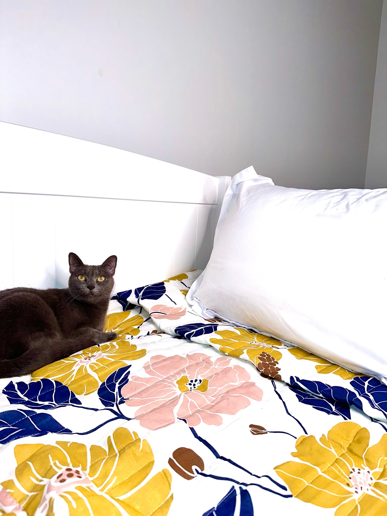 Sheya approves of the florals 

#LTKHome