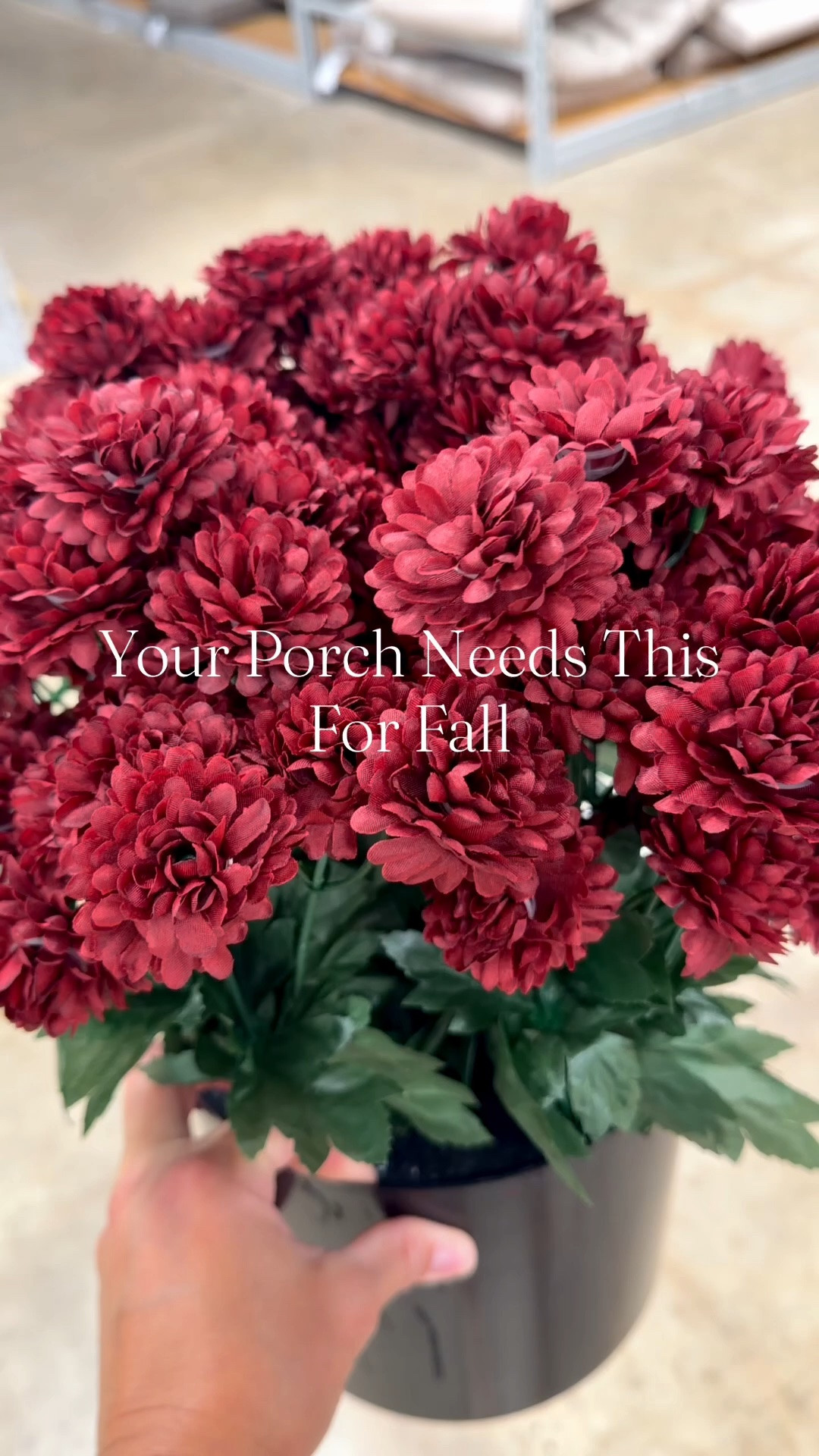 These faux mums instantly make your porch feel warm, welcoming, and ready for the season—without watering, wilting, or replacing them a few weeks later.

If you’re decorating for fall, this is one of the easiest updates you can make.

Save this idea for later and follow for more cozy home inspiration all season long.


#mums #falldecor #fallplants #fauxmums #homedecor #fallporchdecor

#LTKHome #LTKSeasonal
