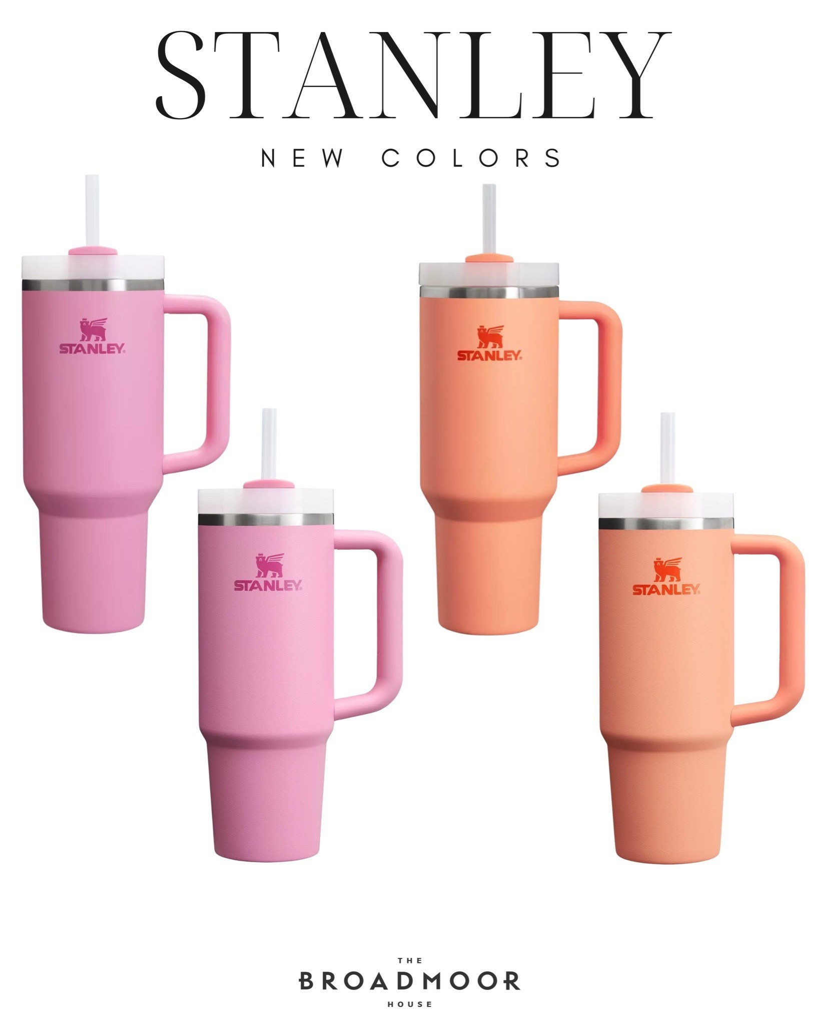 New Stanley colors in both 30 oz and 40 oz!! 


Stanley, Stanley tumbler, Stanley quencher

#LTKfindsunder50 #LTKfitness #LTKActive