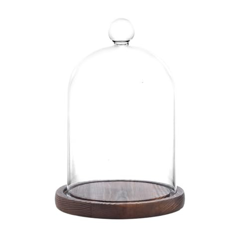 REFSAVER Glass Dome with Base,Glass Cloche Bell Jar,Display Case with Wooden Base for Plants,Collectibles (4.7*6.3 inches) | Amazon (US)