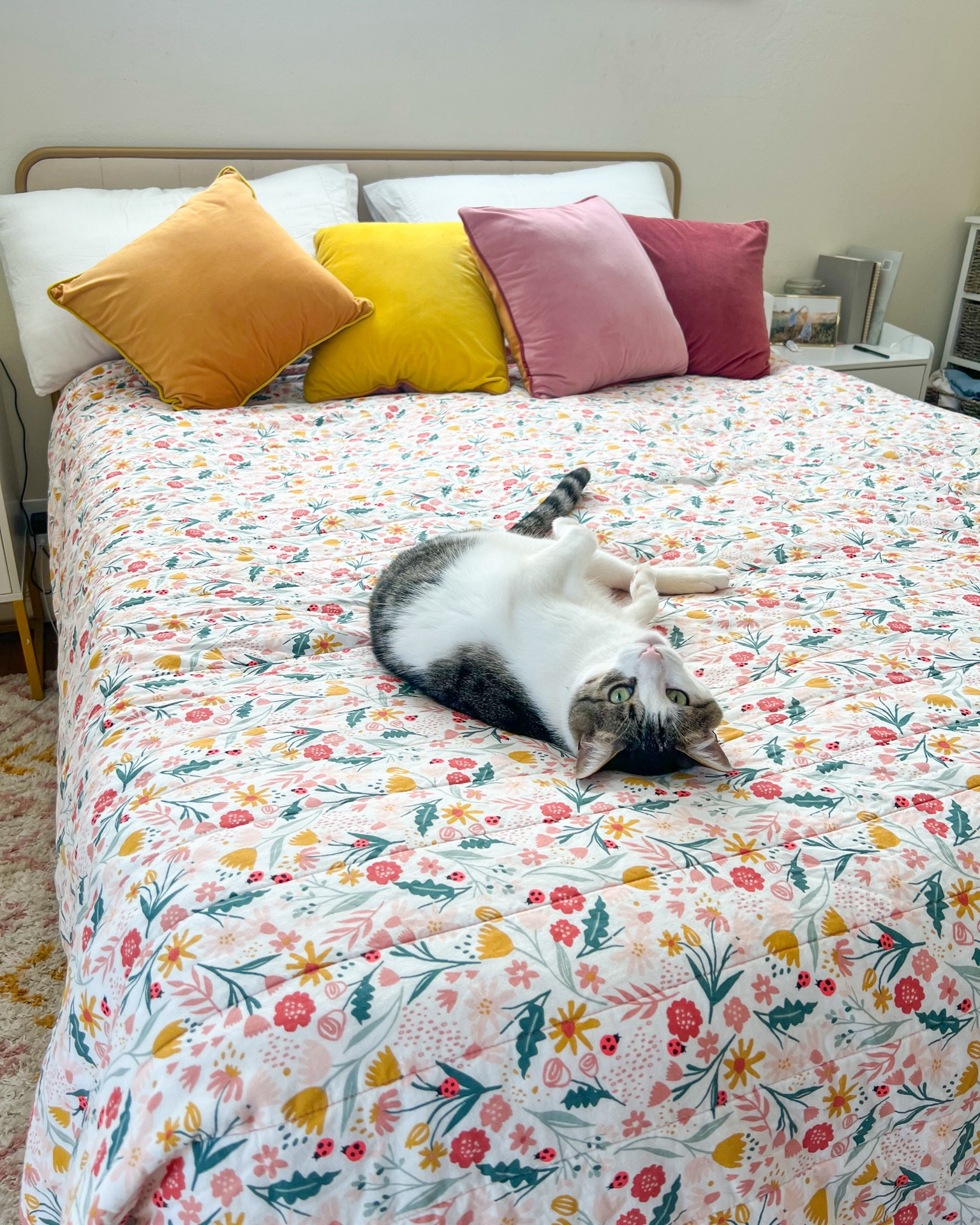 Swapping out our bedding for the some fun spring patterns🌸 We have the quilt version but I’ve linked the comforter set too. Target always has the cutest bedding in the kids section! ✨ 

#LTKhome