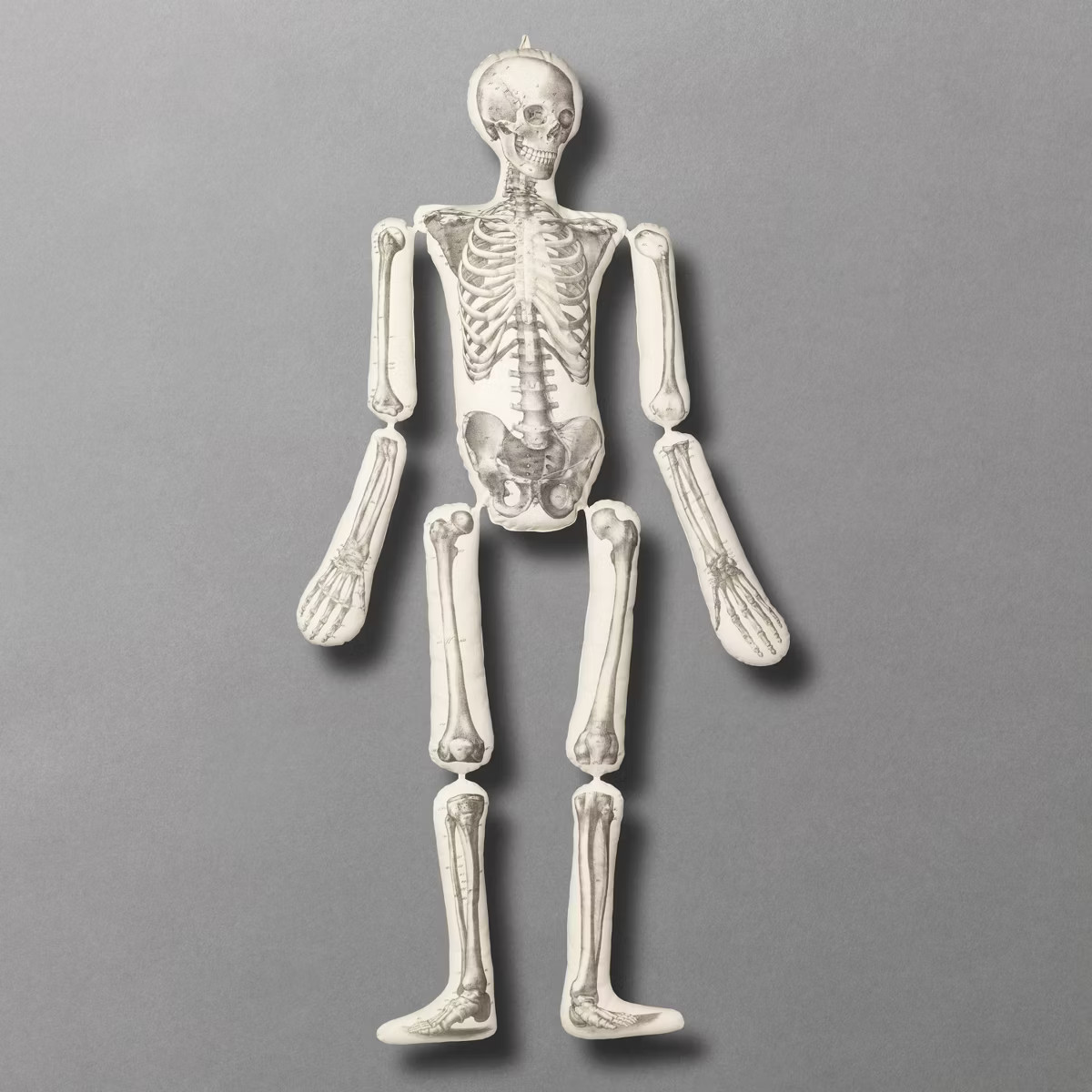 63"x15" Articulated Skeleton Novelty Plush Pillow Cream - John Derian For Target | Target