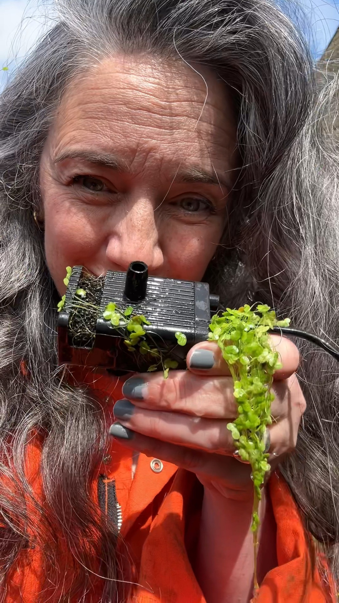 Amazon solar water pump 