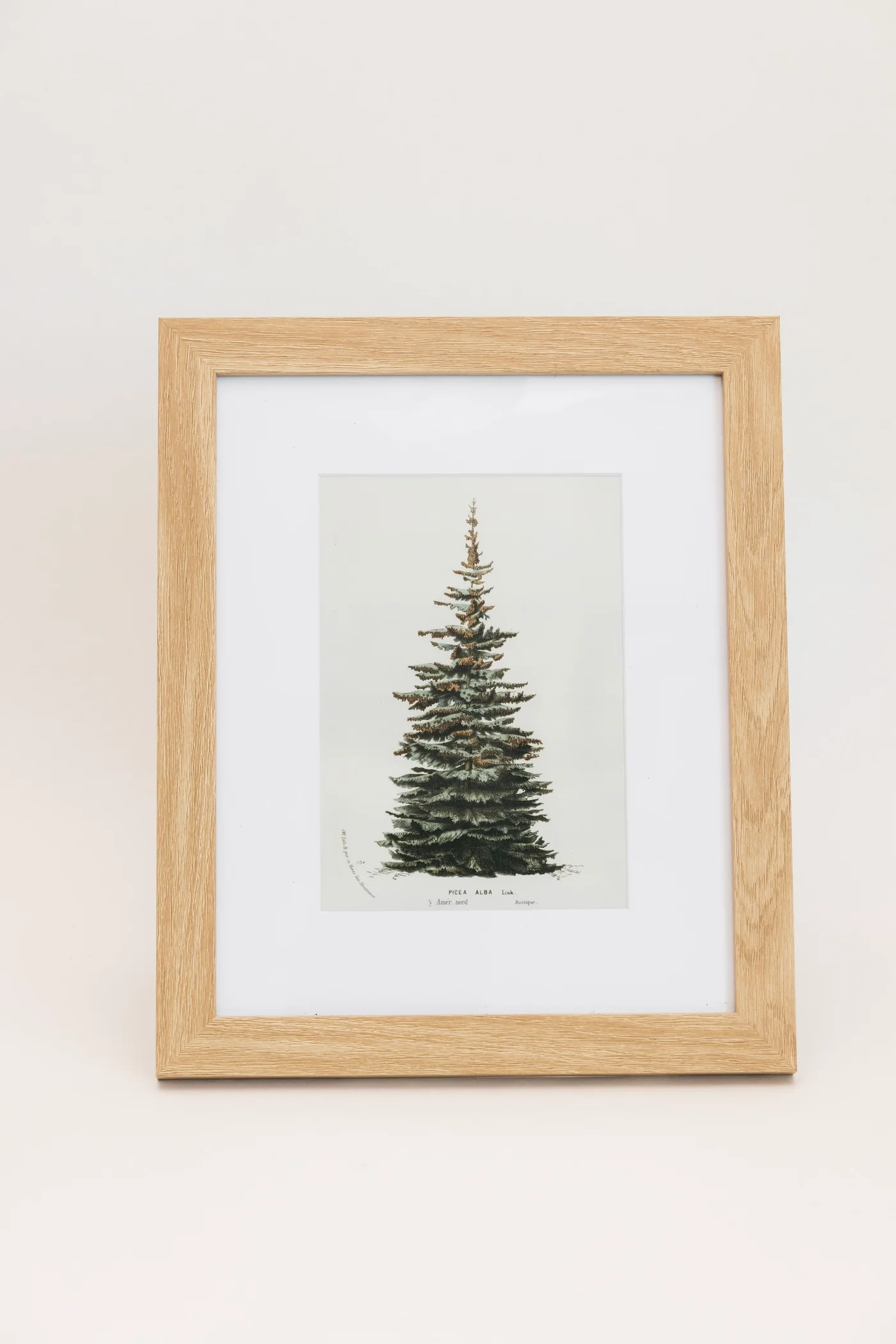 Spruce Wall Art | THELIFESTYLEDCO