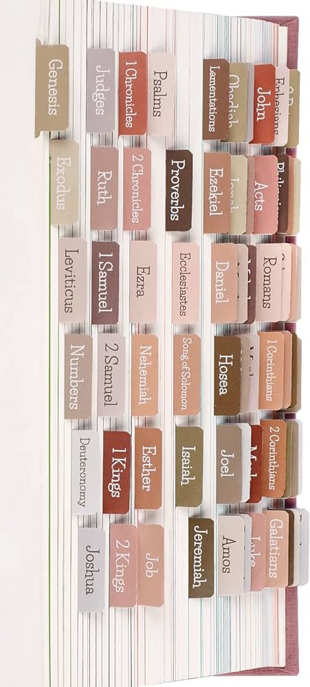 Earth Tone Bible tabs, Large Print Laminated Bible tabs for Women and Men, Easy to Read, Easy to ... | Amazon (US)