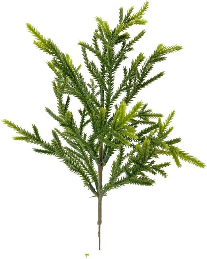 YABINA 12 Pcs Christmas Norfolk Pine Branches, 12 Inch Norfolk Pine Artificial Christmas Branches... | Amazon (US)
