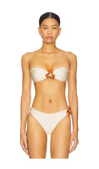 Cyra Bikini Top in Macademia | Revolve Clothing (Global)