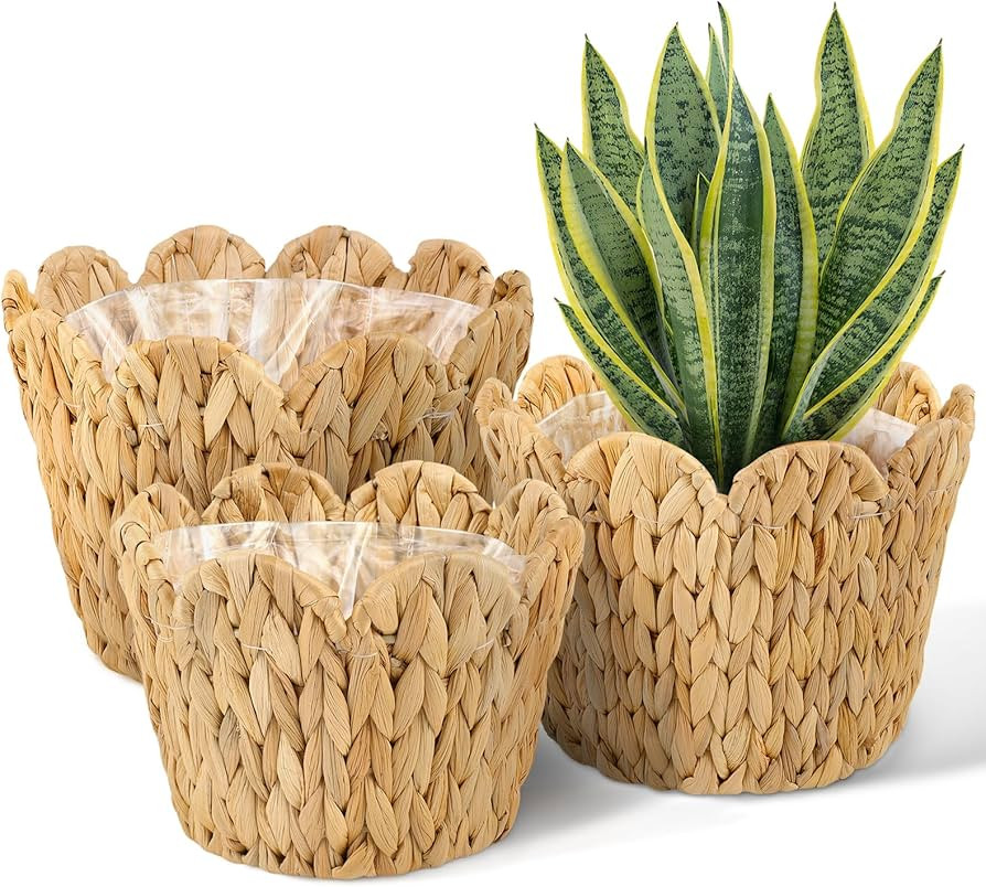 3 Pack Wicker Scalloped Plant Basket, Plant Baskets with Plastic Liner for Indoor, Hand Woven Wat... | Amazon (US)