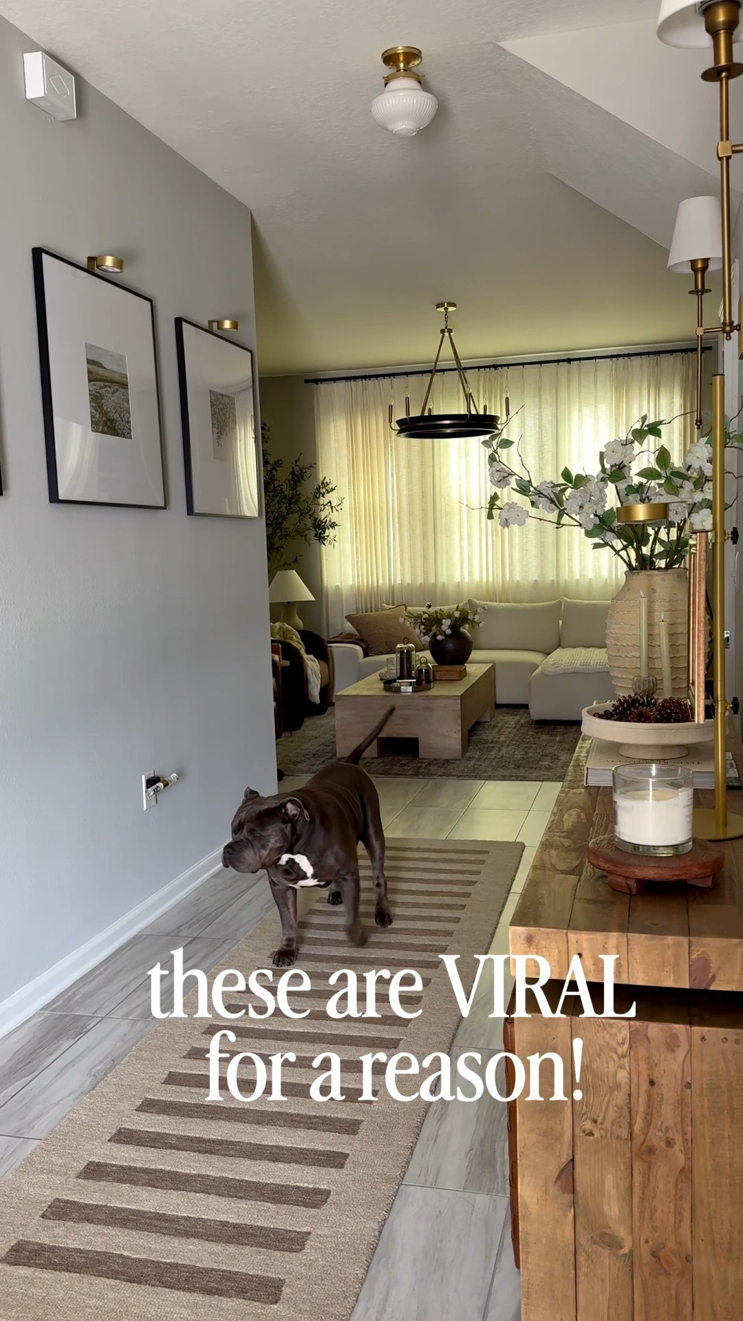 1️⃣0️⃣ of my favorite VIRAL home finds I will always recommend! 

Amazon home finds, viral home finds, home hacks, entryway, bedroom, living room, viral amazon finds

#LTKHome #LTKSaleAlert