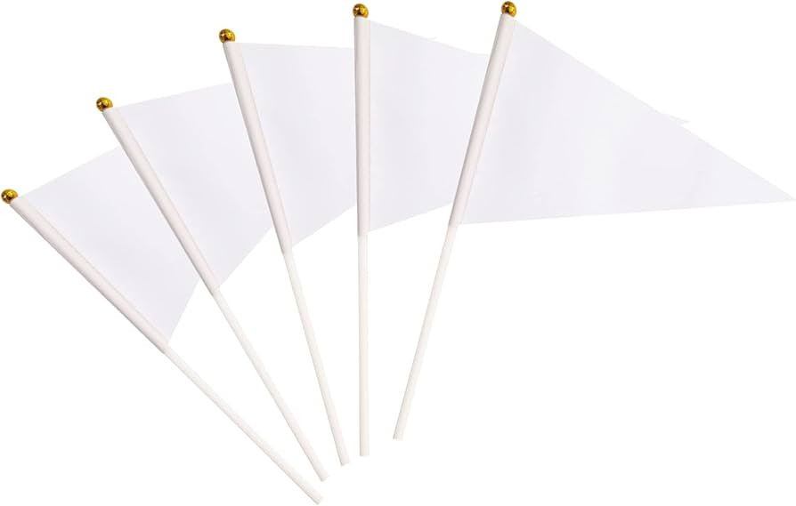 25 Pack White Pennant Flags Small Mini Hand Held Solid Color Pennant Flags On Sticks,Party Events... | Amazon (US)