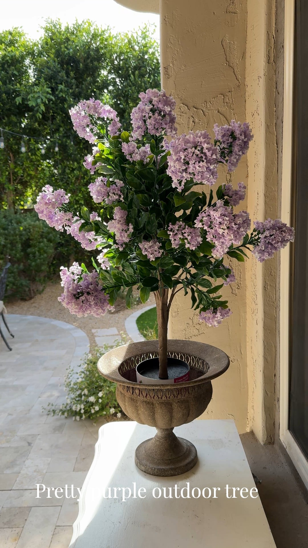 Outdoor mini purple patio tree 💜🍃
and cute vintage style urn 

Crepe Myrtle tree- also in white 
outdoor tree, patio tree, faux tree, purple tree, 

#LTKHome