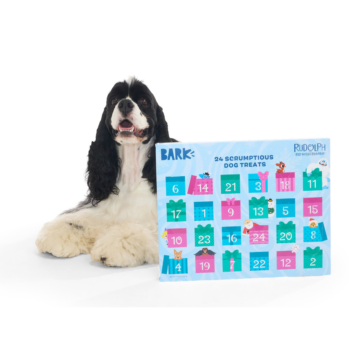 Rudolph® Advent Calendar for Dogs | BARK