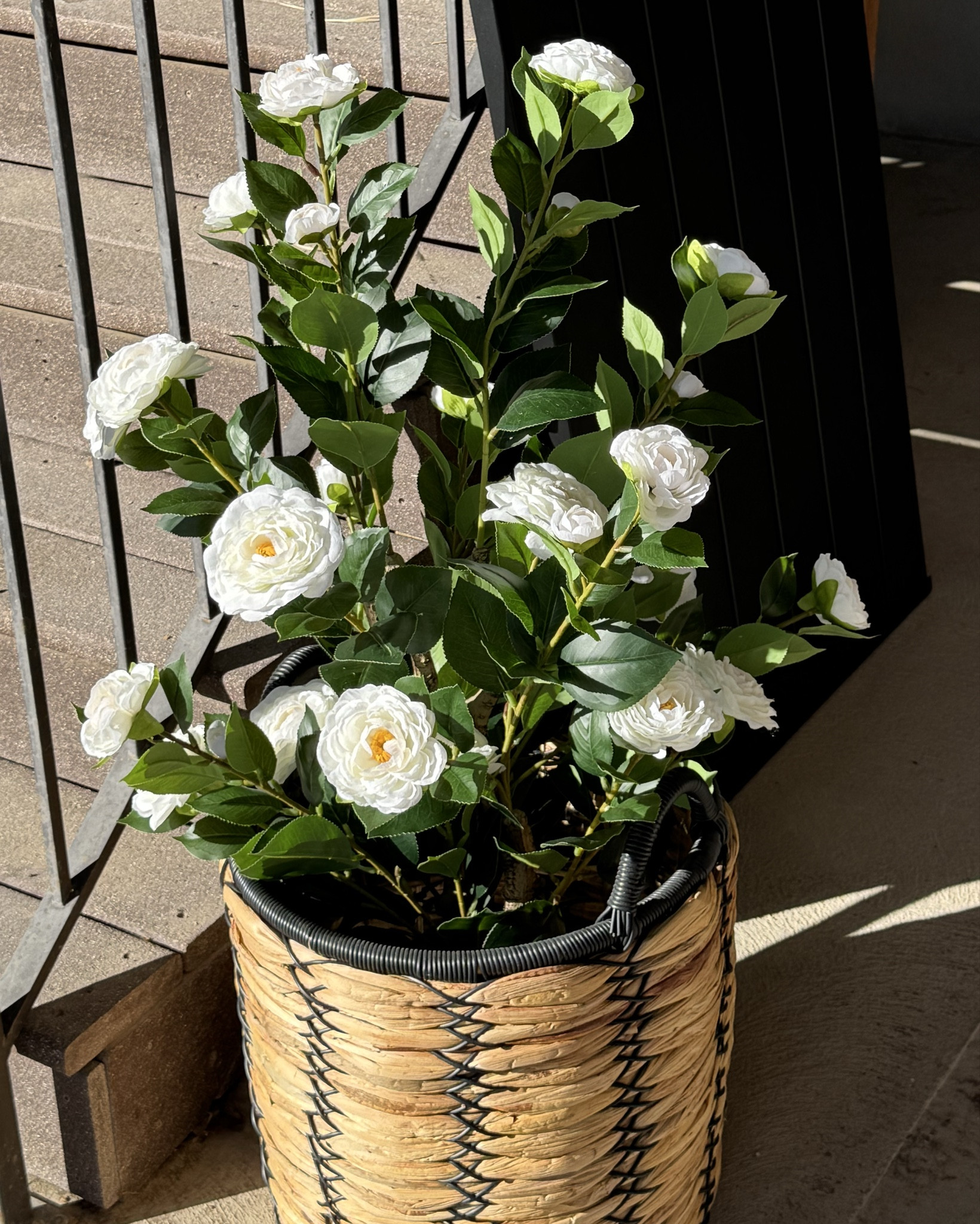 Faux flower roundup 💐😍 For the girls who forget to water plants 🙋‍♀️

#LTKSaleAlert #LTKOver40 #LTKHome