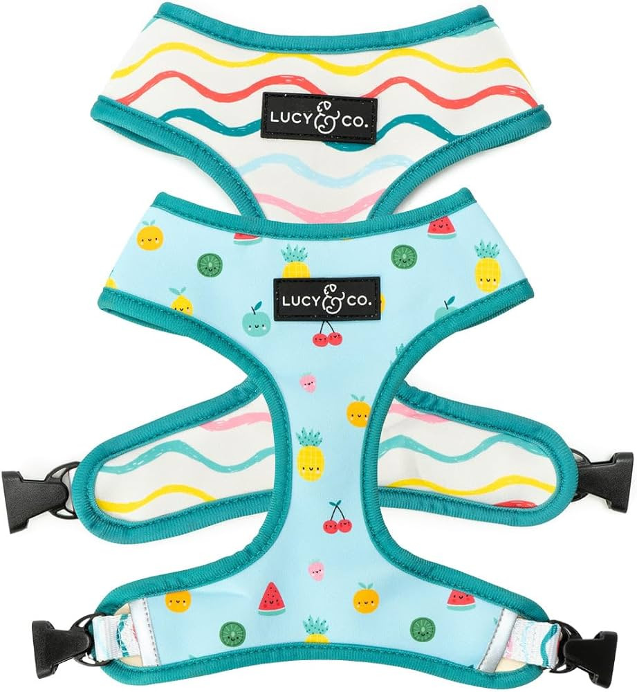 Lucy & Co. Cute Reversible Dog Harness Walking Halter - Best Designer Pet Harnesses for XS - XL D... | Amazon (US)