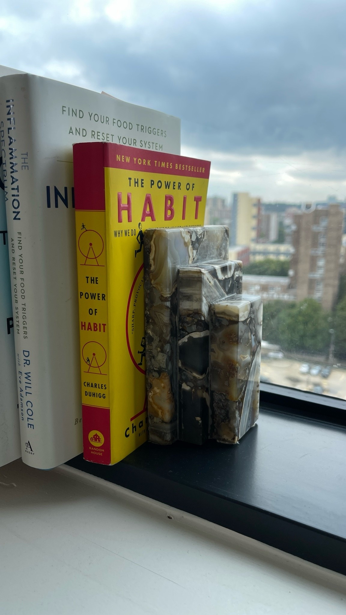 Agate Bookends!