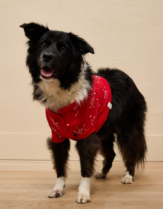 ABO Bow Plush Dog PJ Top | American Eagle Outfitters (US & CA)