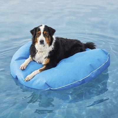 Dog Pool Float and Lounger | Frontgate