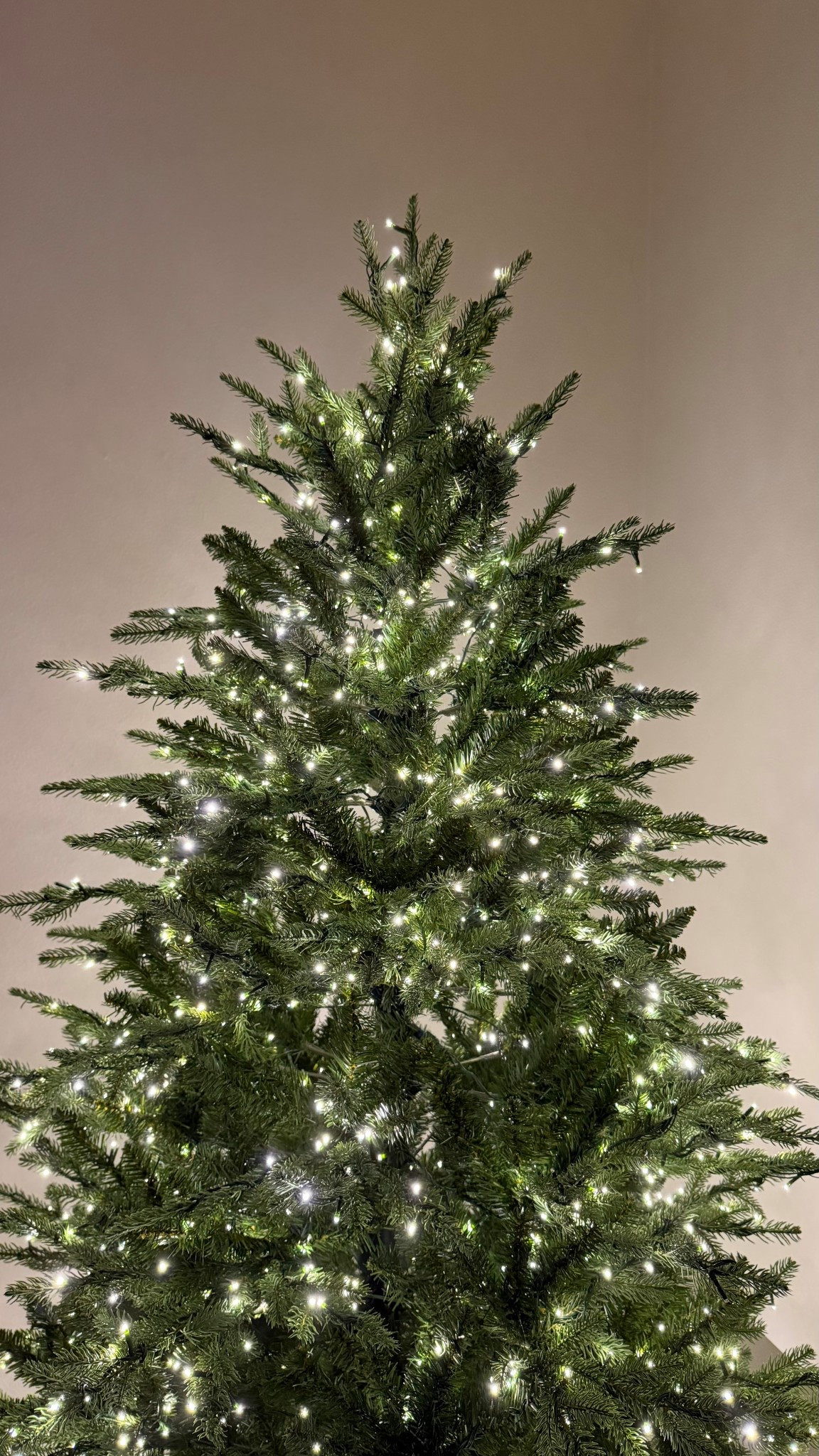 Viral for a reason 🎄✨

Pre-lit, no fluffing, and the lights come with a remote — I’m obsessed!

Linked on LTK 🤍

#LTKHome #LTKHolidayFinds #ChristmasDecorInspo #HolidayStyle #LTKUnder100 #LTKFinds #PrelitTree #LTKHomeDecor #ChristmasVibes #ViralChristmasTree #LTKHolidayReady #FestiveFavorites #CozyHome
