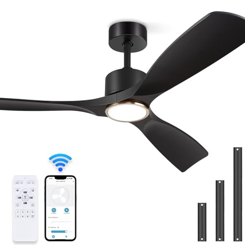 Ceiling Fans with Lights, Ceiling Fans with Lights and Remote Control, 52 inch Black Modern Smart... | Amazon (US)