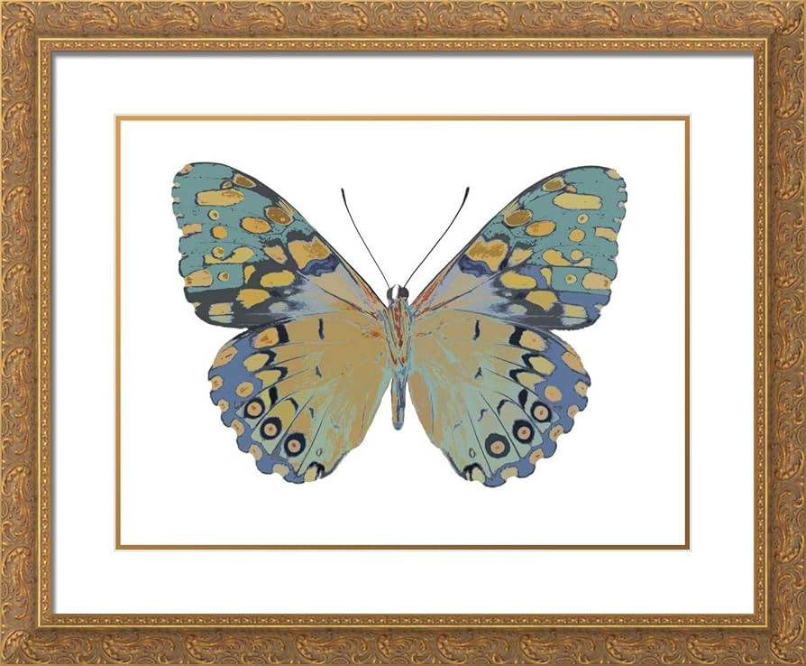 Bosco, Julia 17x15 Gold Ornate Framed and Double Matted Museum Art Print Titled Butterfly in Amet... | Amazon (US)