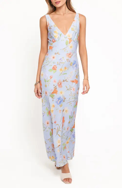 Petal & Pup Lunaria Floral Print Sleeveless Dress in Blue Floral at Nordstrom, Size Medium | Nordstrom