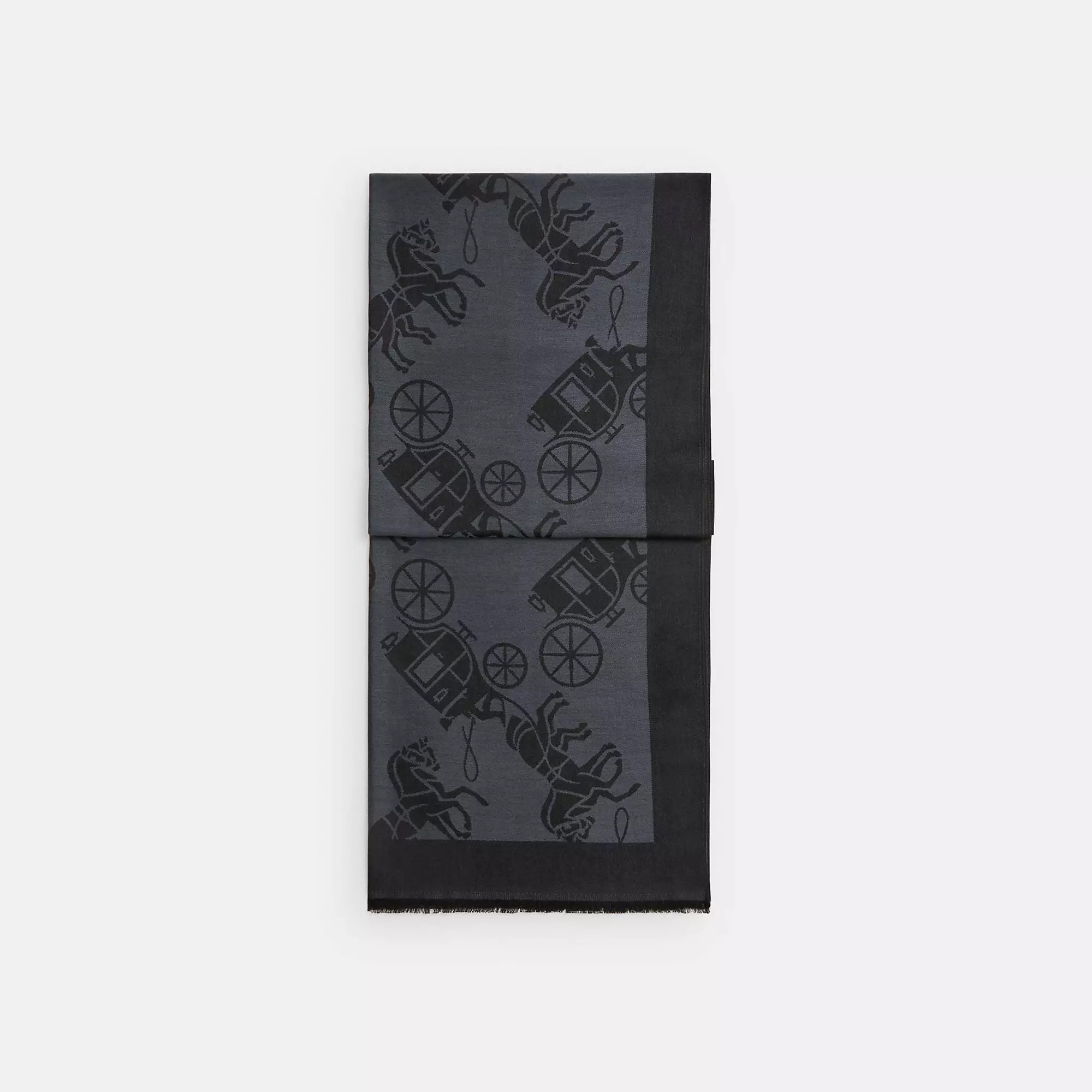 Horse And Carriage Print Stole | Coach (US)