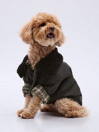 Pet Workman Jacket | Gap (US)