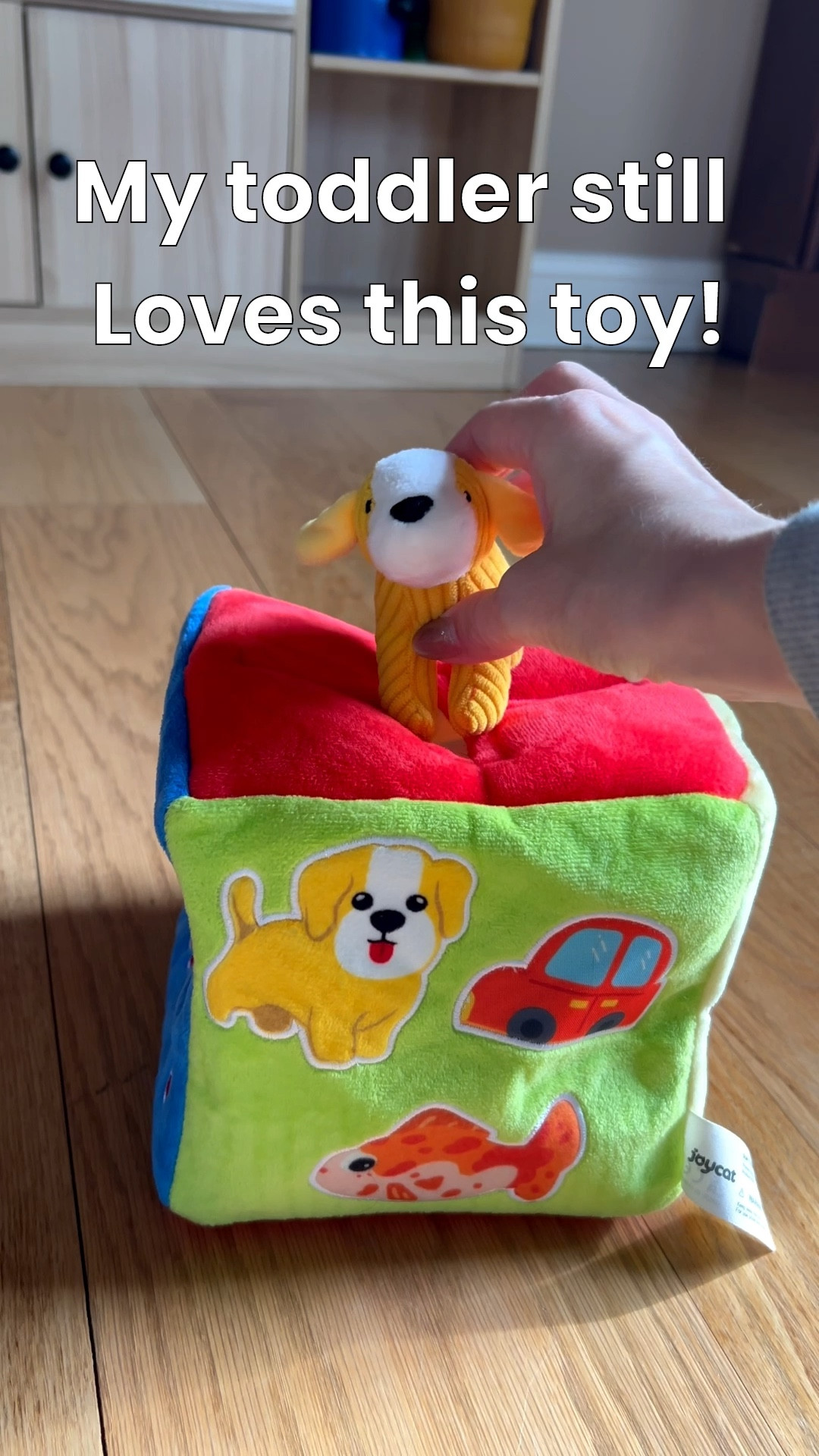 This toy is so colorful and has different textures great for light ones! It is intended for babies but my toddler still enjoys playing with this toy! Added bonus is it stores well in the box 😊

#LTKFindsUnder50 #LTKmomlife #LTKKids