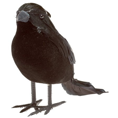 Prextex Realistic Black Feathered Crow Figures Halloween Decoration, 6 Pack - Walmart.com | Walmart (US)